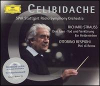 The Stuttgart Recordings, Vol. 3 (Box Set) von Sergiu Celibidache