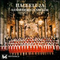 Halleluja von Various Artists