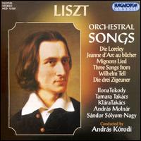 Liszt: Orchestral Songs von Andras Korodi