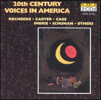 20th Century Voices in America von Various Artists
