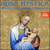 Rosa Mystica von Schola Cantorum and Gregoriana