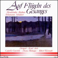 Auf Flügeln des Gesanges von Various Artists