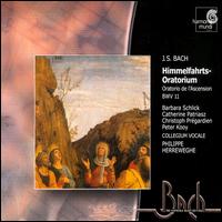 Bach: Ascension Oratorio / Cantatas von Philippe Herreweghe