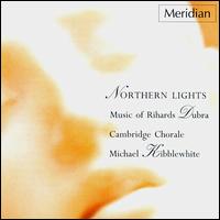 Dubra: Northern Lights von Various Artists