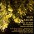 Max Reger: Der 100. Psalm; Der Einsiedler; Requiem (Hebbel) von Various Artists