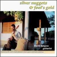 Silver Nuggets and Fool's Gold von David Burgess