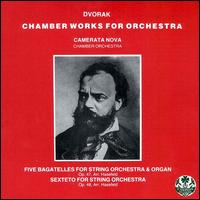 Dvorak: Chamber Works For Orchestra von Camerata Nova