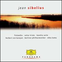 Panorama: Jean Sibelius von Various Artists