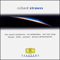 Panorama: Richard Strauss von Various Artists