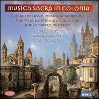Musica Sacra in Colonia von Various Artists
