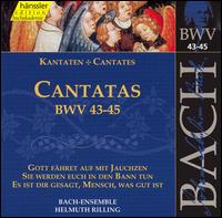 Bach: Cantatas, BWV 43-45 von Helmuth Rilling