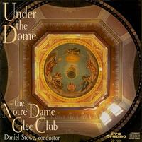 Under the Dome von Various Artists