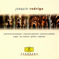 Panorama: Joaquín Rodrigo von Various Artists