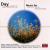 Day Dreams: Music for Reflective Moments von Various Artists