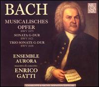 Bach: Musical Offering von Enrico Gatti