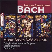 Bach: Missae Breves, BWV 233-236 von Various Artists