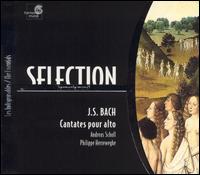 Bach: Cantatas for Solo Alto von Philippe Herreweghe