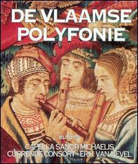 Devlaamse Polyfonie (Box Set) von Various Artists