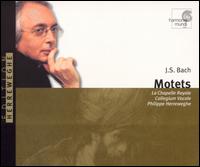 Bach: Motets von Philippe Herreweghe