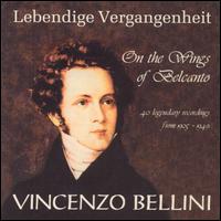 On the Wings of Belcanto: 40 Legendary Recordings, 1905-49 von Various Artists