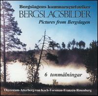 Bergslagsbilder (Pictures from Bergslagen) von Various Artists