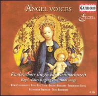 Angel Voices: Boys' Choirs Singing Christmas Songs, Vol. 2 von Various Artists
