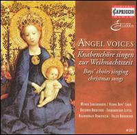 Angel Voices: Boys' Choirs Singing Christmas Songs von Various Artists