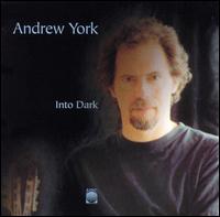 Into Dark von Andrew York