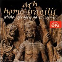 Ach, Homo Fragilis von Schola Gregoriana Pragensis