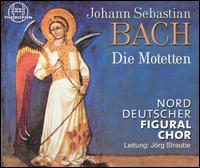 Bach: Die Motetten von Norddeutscher Figural Chor