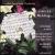 Classical Weddings von London Symphony Orchestra