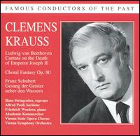 Clemens Krauss Conducts von Clemens Krauss