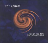 Souls in the Dark von Animae Trio