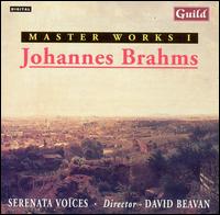 Johannes Brahms von Various Artists