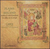 Flame of Ireland von Canty