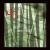 John Cage: One7 (from One13); One8 von Various Artists