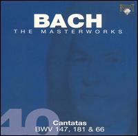 Bach: Cantatas BWV 147, 181 & 66 von Pieter Jan Leusink