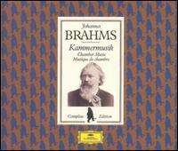 Brahms: Kammermusik [Box Set] von Various Artists