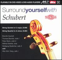 Surround Yourself with Schubert [DVD Video + DVD Audio] von Brandis Quartet