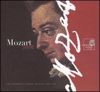 Mozart Diary 2006 [Book+CD] von Various Artists