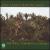 Bach: The Well-Tempered Clavier 1 von João Carlos Martins