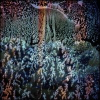 Desert Ambulance [LP] von Ramon Sender