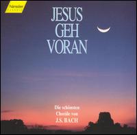 Jesus Geh Voran von Various Artists