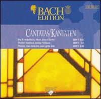 Bach Edition: Cantatas BWV 116, BWV 13, BWV 144 von Pieter Jan Leusink