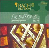 Bach Editions: Cantatas BWV 147, BWV 181 & BWV 66 von Pieter Jan Leusink