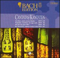 Bach Edition: Cantatas BWV 135, BWV 86, BWV 85, BWV 167 von Pieter Jan Leusink