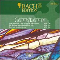 Bach Edition: Cantatas BWV 64, BWV 134 & BWV 105 von Pieter Jan Leusink