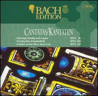 Bach Edition: Cantatas BWV 36, BWV 184 & BWV 129 von Pieter Jan Leusink