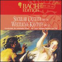 Bach Edition: Secular Cantata BWV 201 von Peter Schreier