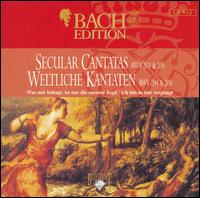 Bach Edition: Secular Cantatas BWV 204 von Peter Schreier